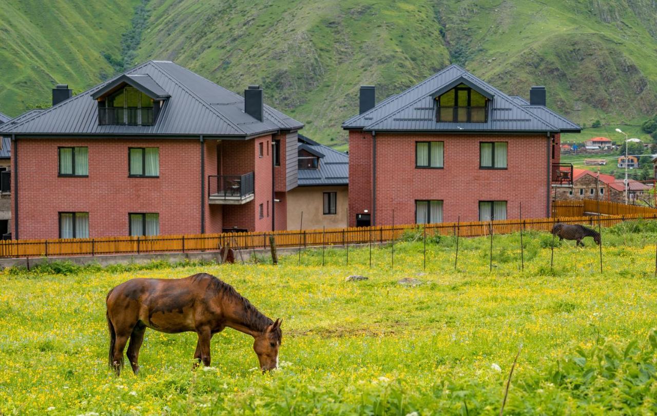 Devdaraki Apartments Kazbegi Exteriör bild